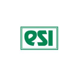 ESI Technology